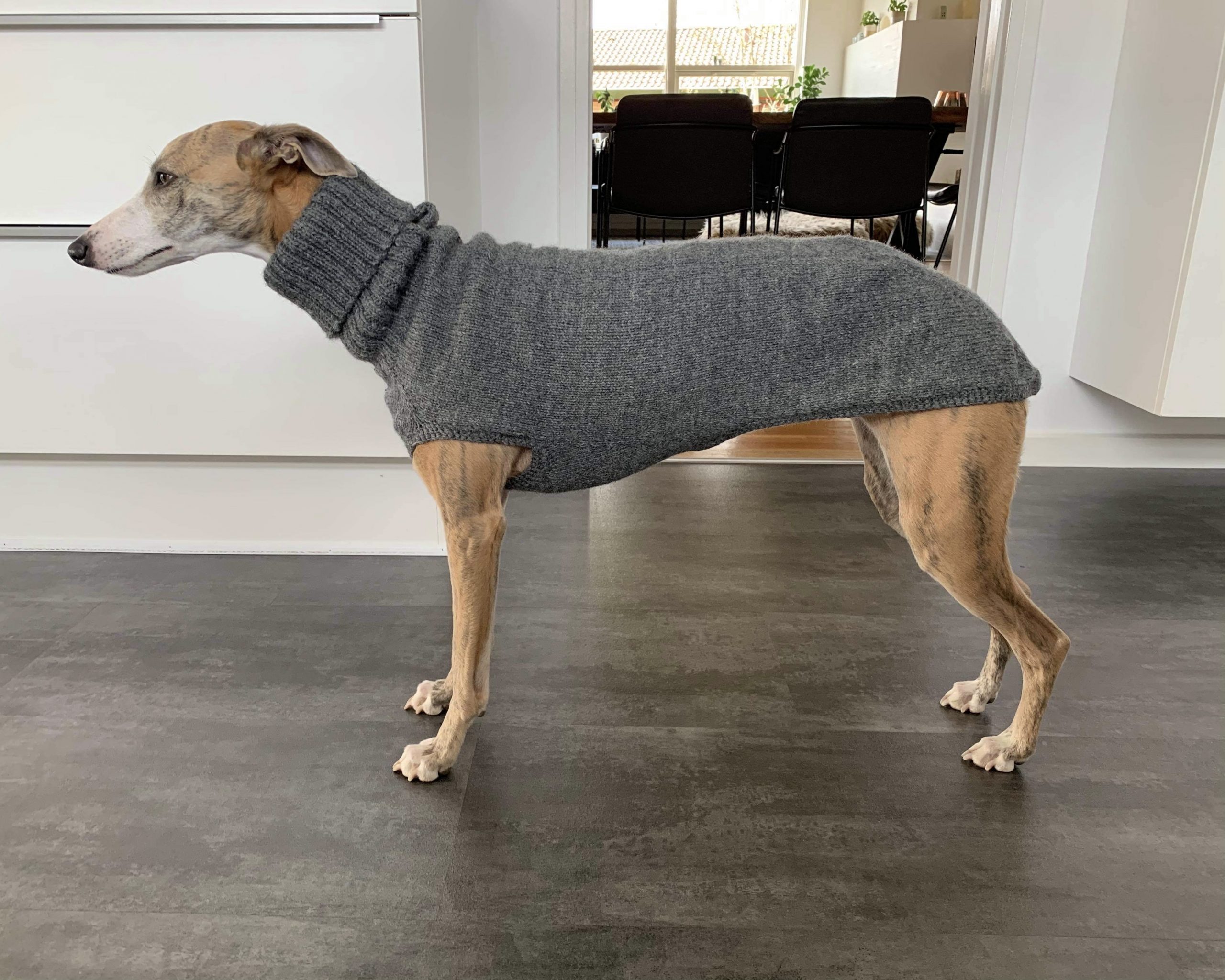 Er deprimeret Jet Email Hunde trøje - Hjemmestrikket uld trøje sort | SkinnyDogs