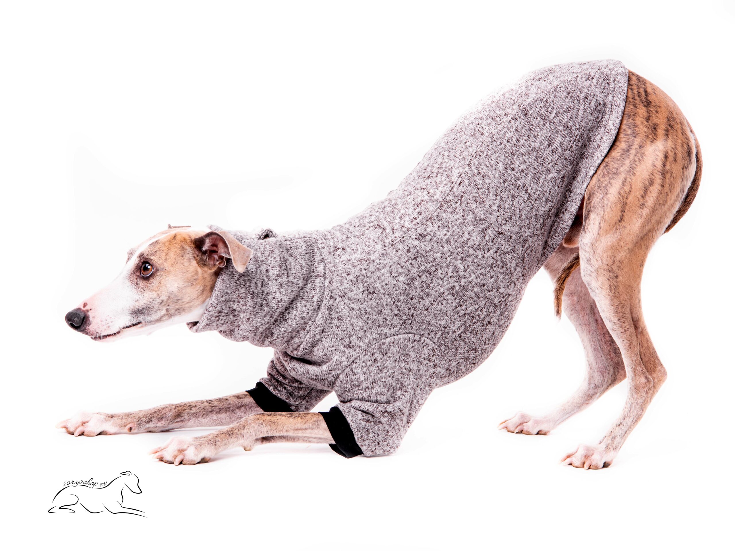 Hunde trøje med ben Mørkegrå strik - SkinnyDogs