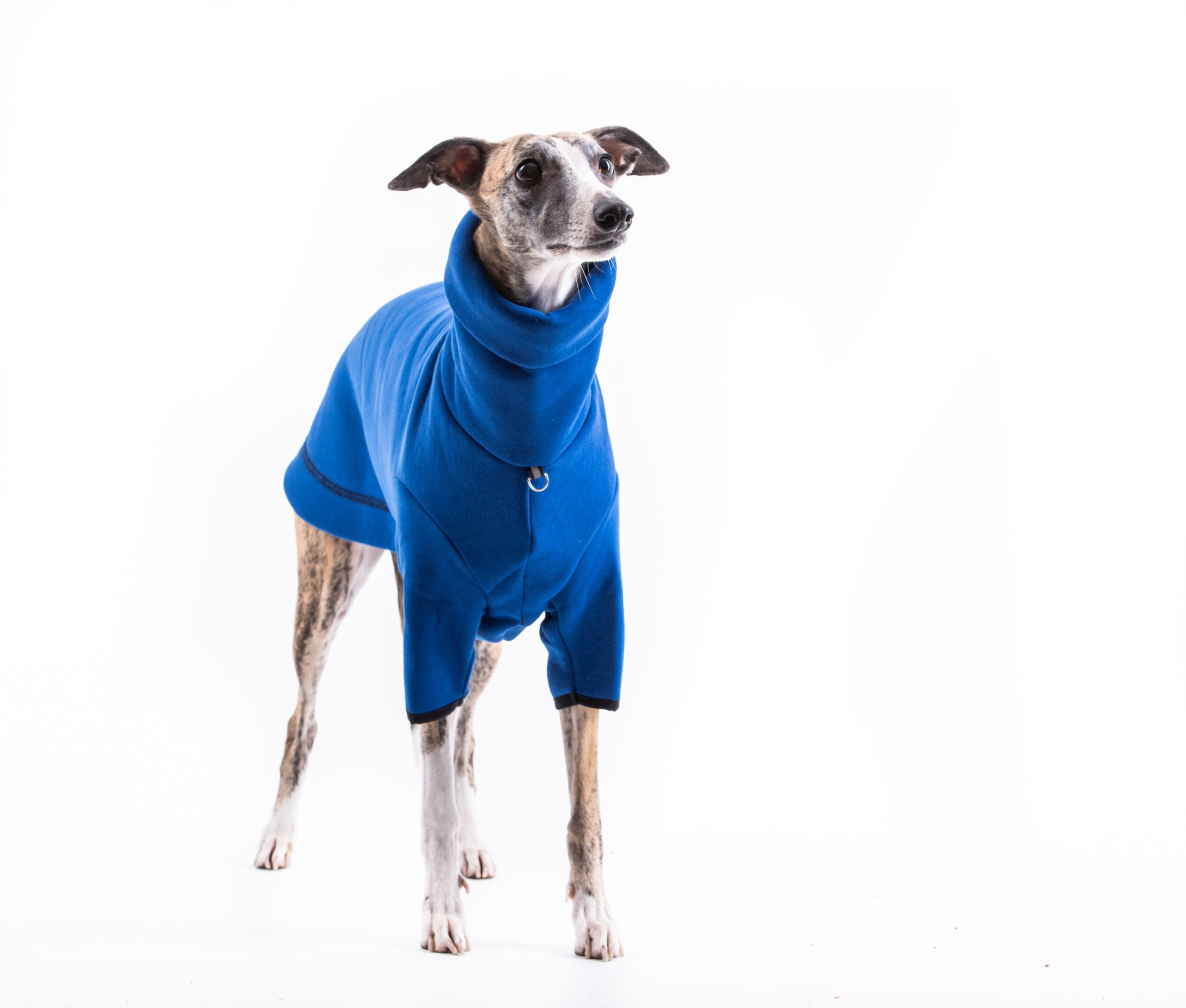 slange Normalt frivillig Hunde trøje med ben - Blå strik - SkinnyDogs